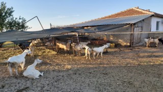 İNTERNETTEN SATIŞ YAPAN VATANDAŞ EFT DOLANDIRICILARININ TUZAĞINA DÜŞTÜ