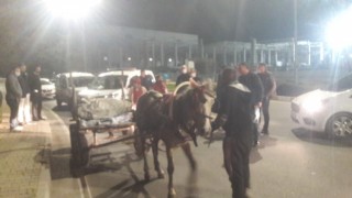 KABLO HIRSIZLARI KISKIVRAK YAKALANDI