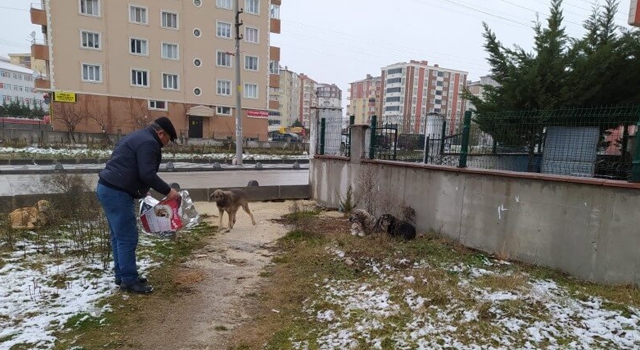 "SOĞUK KIŞ GÜNLERİNDE CAN DOSTLARIMIZIN YANINDAYIZ"