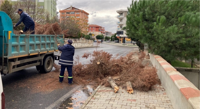 SÜLEYMANPAŞA BELEDİYESİ LODOSUN YARALARINI SARIYOR