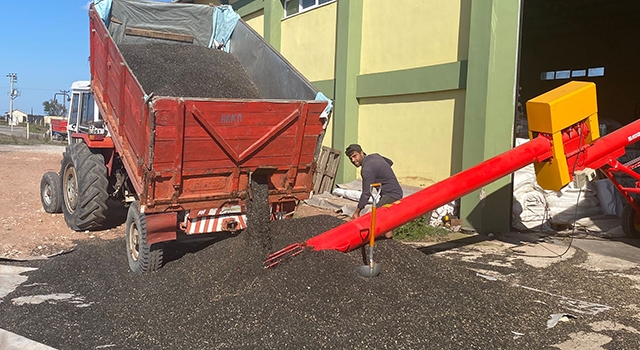 28 GÜNDE 2 BİN TON ALIM YAPTI, ALIMLAR DEVAM EDİYOR