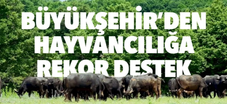 TEKİRDAĞ BÜYÜKŞEHİR BELEDİYESİ’NDEN HAYVANCILIĞA REKOR DESTEK