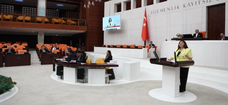 İYİ PARTİ’Lİ SELCAN TAŞCI TBMM’DE DEM PARTİ’NİN TUTUMUNU ELEŞTİRDİ
