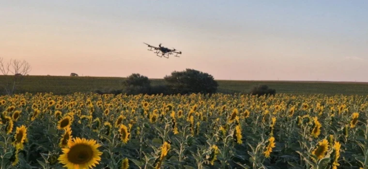 TEKİRDAĞ'DA ÇEKİRGE İSTİLASI: DRONE İLE İLAÇLAMA BAŞLATILDI