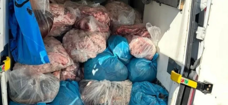 ERGENE’DE JANDARMADAN KAÇAK SAKATAT OPERASYONU: 2 TON ELE GEÇİRİLDİ