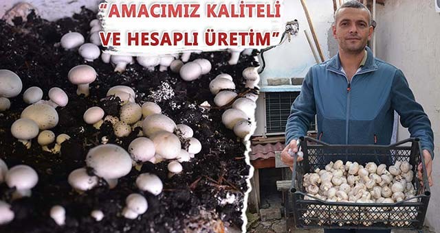 AYDA 400 KİLO KÜLTÜR MANTARI YETİŞTİRİYOR