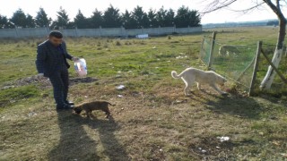 DİLER’DEN ÖRNEK DAVRANIŞ