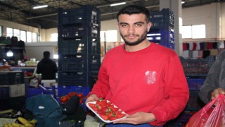 ÇİLEK PAZARA GİRİŞ YAPTI