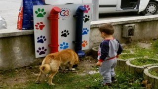 BELEDİYE 30 FARKLI NOKTADA MAMA İSTASYONU KURACAK