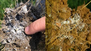 AYGUN: “ACİLEN ÖNLEM ALMAMIZ GEREKİYOR”