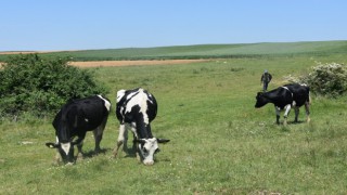 TÜRKİYE'NİN EN BÜYÜK MERA ISLAH PROJESİ