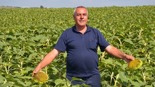 “YAĞAN YAĞMURLAR ÇİFTÇİMİZİN YÜZÜNÜ GÜLDÜRDÜ”