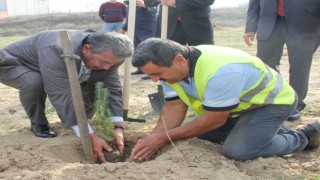 ÇOSB ÇANAKKALE’DE YANAN ORMANLIK ALANI YENİDEN AĞAÇLANDIRACAK