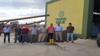 AYÇİÇEĞİ ALIMLARI BAŞLADI