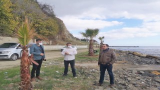 BAŞKAN YÜKSEL YENİ SAHİL PROJESİNDE İNCELEMEDE BULUNDU