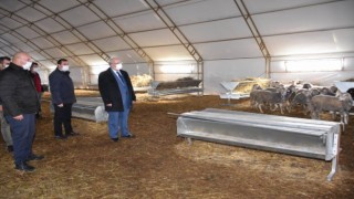 BÜYÜKŞEHİR, TARIM VE HAYVANCILIĞA DESTEKLERİNİ SÜRDÜRÜYOR