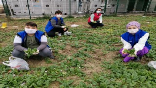 GENÇLER ÖNCE ÜRETTİ, SONRA DAĞITTI