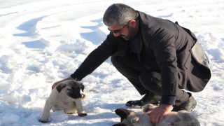 YILDIZ: "YARADILANI SEVERİZ, YARATANDAN ÖTÜRÜ"