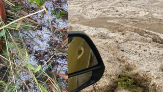 DOLU YAĞIŞI YÜZLERCE DEKAR EKİLİ ALANA ZARAR VERDİ