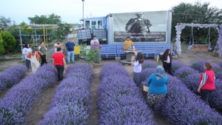 GENÇ GİRİŞİMCİ, KIRAÇ TARLAYA EKTİĞİ LAVANTALARLA GÖRSEL ŞÖLEN OLUŞTURDU