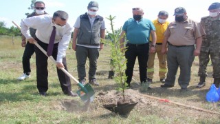 FİDANLAR TOPRAKLA BULUŞTU
