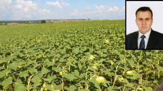 “BU YIL 5 BİN 400 TON ALIM YAPTIK”