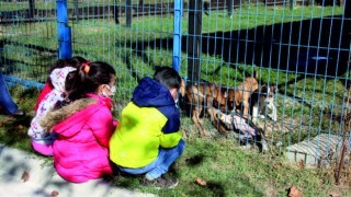 ÖĞRENCİLERDEN GEÇİCİ HAYVAN BAKIM VE REHABİLİTASYON MERKEZİ’NE ZİYARET