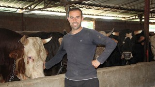 BU YIL KURBANLIKLARA İLGİ YOĞUN