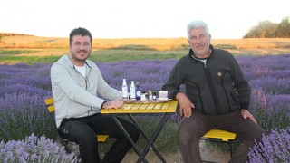 TARLALAR ‘MOR ŞÖLENE’ HAZIR