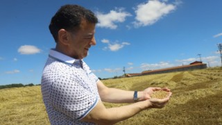 KAPAKLI’DA KUNDURU CİNSİ ATA TOHUMU HASADI YAPILDI