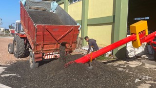 28 GÜNDE 2 BİN TON ALIM YAPTI, ALIMLAR DEVAM EDİYOR