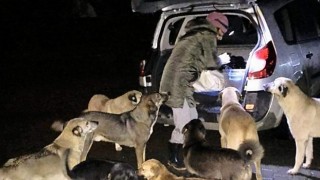 KÖPEKLERİMİZİ DE ÇOCUKLARIMIZI DA BİRLİKTE KORUYALIM