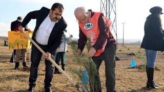 BAŞKAN VEKİLİ ZENGİN; “DAHA YEŞİL BİR ÇERKEZKÖY İÇİN ÇALIŞMAYA DEVAM EDECEĞİZ”
