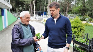 MEZARLIKLARDA ÇİÇEK DAĞITIMI YAPILDI