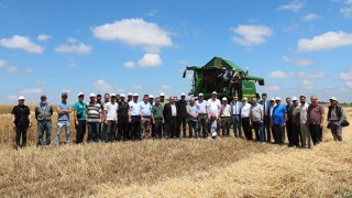 ARPA HASADI DUALARLA BAŞLADI