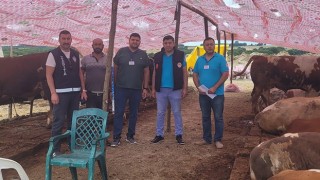 KURBAN DENETİMLERİ DEVAM EDİYOR