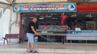 YENİ BALIK SEZONU 1 EYLÜL’DE AÇILACAK