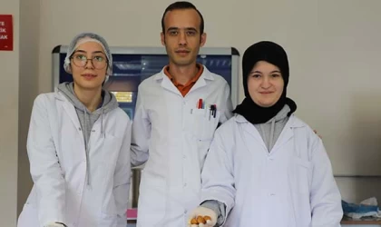 YEMEK ARTIKLARI İLE SOKAK HAYVANLARINA ÖZEL MAMA ÜRETTİLER