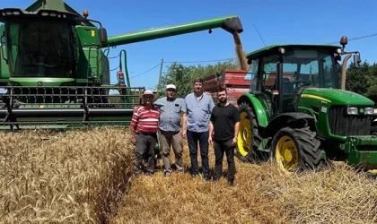 BUĞDAY HASADI DEVAM EDİYOR