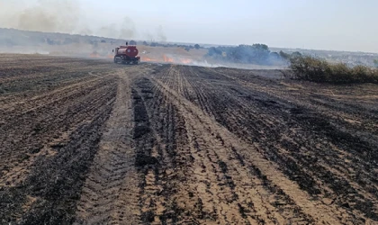 100 DÖNÜMLÜK ALAN KÜLE DÖNDÜ