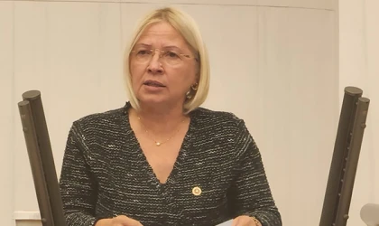“İNADINA GÜÇLÜ DEVLET İNADINA GÜÇLÜ DEMOKRASİ!”