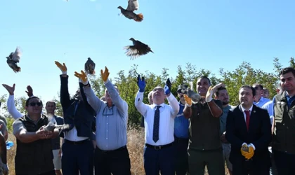 300 KEKLİK DOĞAYA SALINDI