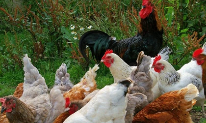 BAŞVURULAR İÇİN YARIN SON GÜN