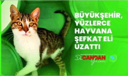 BÜYÜKŞEHİR YÜZLERCE HAYVANA ŞEFKAT ELİ UZATTI