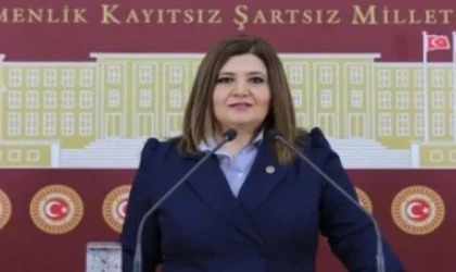 SELCAN TAŞÇI HAMŞİOĞLU, HUBUBAT DESTEKLERİNİN GECİKTİĞİNİ VE ÇİFTÇİLERİN MAĞDURİYETİNİ GÜNDEME GETİRDİ