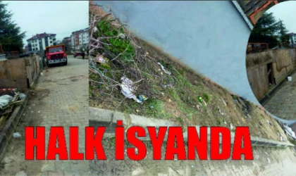 Veliköy Ortaokulu Etrafında Güvenlik Sorunları Devam Ediyor: Üst Geçit ve Kaldırım Eksikliği Tehlike Arz Ediyor