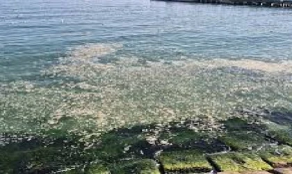 MARMARA’NIN KABUSU GERİ Mİ DÖNÜYOR? TEKİRDAĞ KIYILARINDAKİ BEYAZ TABAKA TEDİRGİN ETTİ