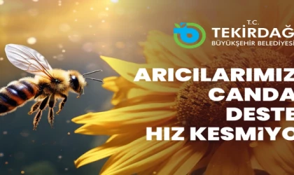 ARICILARA CANDAN DESTEK ARI YAŞAM GÜCÜ PROJESİ İÇİN BAŞVURULAR BAŞLADI
