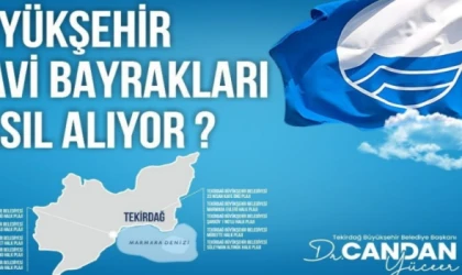 Story Haber