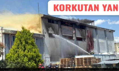 Avrupa Serbest Bölgesi’nde Fabrika Yangını: Maddi Hasar Büyük